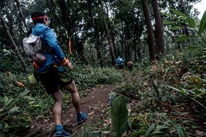 BIB: 
                            <button type="button" onclick="openModal(22792073)" class="btn btn-primary btn-sm float-right btn-popup" data-toggle="modal" data-target=".modal-high-quality">
                        <i class="fas fa-shopping-cart"></i> Add to Cart
                    </button>
                                            <button type="button" onclick="isThisMe(22792073, true)" class="btn btn-success btn-sm float-right btn-popup btn-isme hidden" data-toggle="tooltip" data-placement="bottom" title="นี่คือรูปของคุณใช่ไหม คลิกที่นี่เพื่อเอาเข้าอัลบั้ม">
                        <i class="fas fa-plus"></i> Add to album
                    </button>
                    <button type="button" onclick="isThisMe(22792073, false)" class="btn btn-warning btn-sm float-right btn-popup btn-isnotme hidden">
                        <i class="fas fa-ban"></i> Remove from album
                    </button>